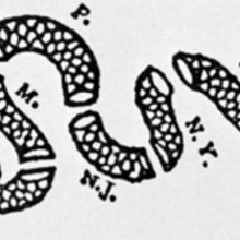Picture 49.large